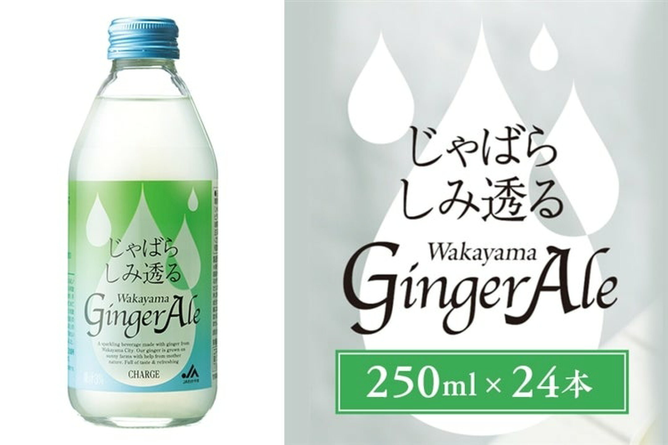 爽やかなじゃばらの味を感じられる新しょうがのジンジャーエール