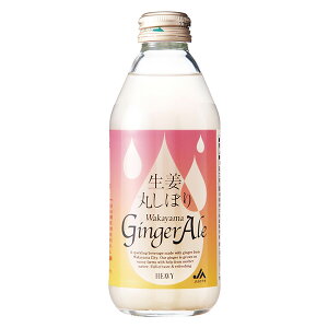 2yzIۂڂ Wakayama GingerAle IۂڂWWG[ 250ml×24{×2P[Xysz@a̎RY@W[X@@@Ε@y킩܁z