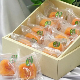 【送料無料】あんぽ柿　1個70g　10個入紀州　和歌山県産｜贈答 お中元 お歳暮 干し柿 ドライフルーツ【紀の里】