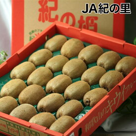 キウイフルーツ　【JA紀の里】紀の姫キウイフルーツ　約3.6kg　24玉　紀州　和歌山県産