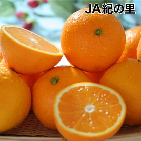 【JA紀の里】清見オレンジ　約10kg　2Lサイズ　紀州　和歌山県産