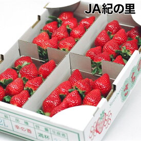 ひな祭りに間に合う！【JA紀の里】さちのかいちご　約1kg　2LまたはLサイズ　紀州　和歌山県産