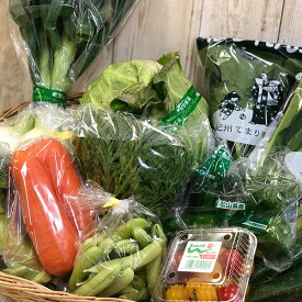 【送料無料】【JAわかやま】　季節の野菜詰合せ 和歌山特産品セット（野菜セット：内容は都度変更する可能性があります）【代引き不可】※画像はイメージです。　cov