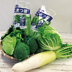【送料無料】【JAわかやま】　てまり野菜セットB 和歌山特産品セット（野菜セット：白菜1個、キャベツ1個、大根1本、小松菜2袋、ブロッコリー2個）【代引き不可】※画像はイメージです。