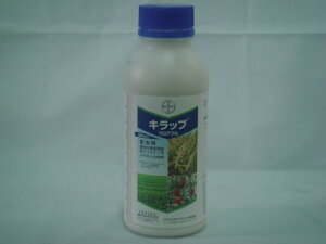 oCGNbvTCGX _ oCG LbvtAu 500ml