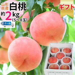  R`Y 2kg p Mtg lΉ GI 5`8ʓ `h ①  [ Mtg 2L N[] ꌧ s