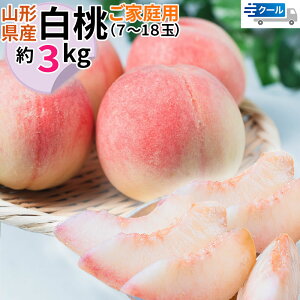  R`Y 3kg 󂠂 ƒp 7`18ʓ `h ①  [ ƒp 3L N[] ꌧ s