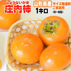 \̔ 10{`11{\ ` 󂠂 ƒp R`Y  I Ȃ 1kg 6-8ʓ[`1L]