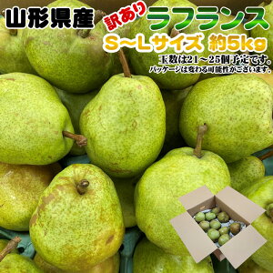 11{`12{ 󂠂 ƒp R`Y miV̏tX S`LTCYE5kg 21`25ʓ  [ƒptXS5L]