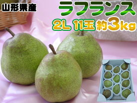 大玉2L・11玉・約3kg 山形県産洋梨 洋ナシの女王ラフランス 送料無料 [ラフランス2L3キロ]