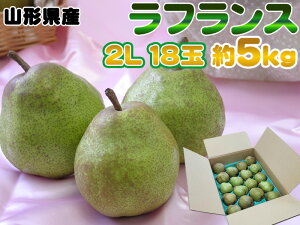 2LE18ʁE5kg R`Ym miV̏tX  [tX2L5L]