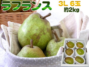 3LE6ʁE2kg R`Ym miV̏tX  [tX3L2L]