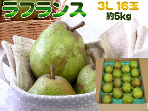 3LE16ʁE5kg R`Ym miV̏tX  [tX3L5L]