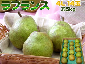 4LE14ʁE5kg R`Ym miV̏tX  [tX4L5L]