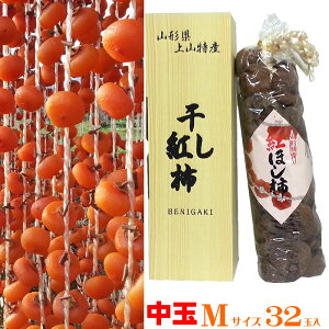 \̔ 12{\ p  R`RY ` g` 32 MTCY  [g`32ʁ@MTCY]