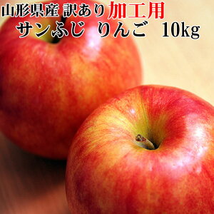 \̔12{育\񔭑 Hp 󂠂  Tӂ 10kg  R`Y  W[Xp [Hp10L]