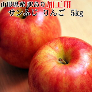 \̔12{育\񔭑 Hp 󂠂  Tӂ 5kg  R`Y  W[Xp [Hp5L]