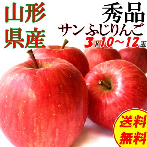 y\̔z Gi Mtg Ε  R`Y  Tӂ 3kg 10`12 [Gi3L]