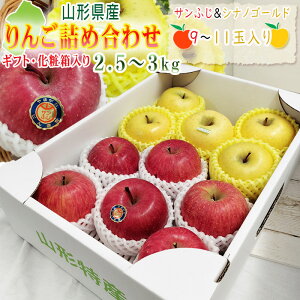 \̔ 12{珇  lߍ킹 Tӂ&VimS[h 2.5~3kg R`Y  Mtg [񂲋lߍ킹(Tӂ&VimS[h)]