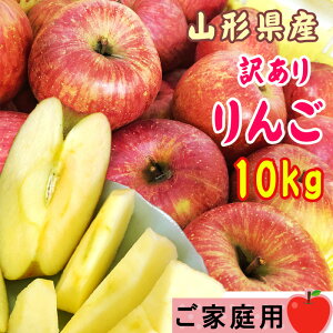 \̔12{育\񔭑 󂠂  Tӂ 10kg  R`Y I 26~50 [ƒp10L]