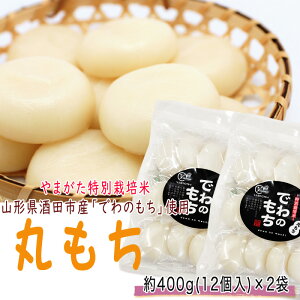 ؂ ۂ ۖ n 24 (12×2) R`Y ʍ͔| ł̂ JGAPFؔ_  |Cg [ YP ۖ [ł̂2 BY3] 