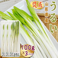 山形県産 促成 山菜 うるい 300g (100g×3パック) 送料無料 クール便 [促成うるい 100g×3]