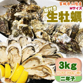 生牡蠣 3kg Mサイズ 宮城県三陸産 殻付き 冷蔵 お取寄 おうちグルメ 送料無料 [Mサイズ 三陸産生牡蠣3キロ 二年子]