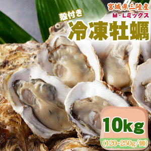 Ⓚy 10kg 120`250g/ I ML~bNX {錧 OY H Ɩp ƒp  O  [Ⓚ y ML~bNX kt 10kg]