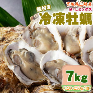 Ⓚy 7kg 120`250g/ I ML~bNX {錧 OY H Ɩp ƒp  O  [Ⓚ y ML~bNX kt 7kg]
