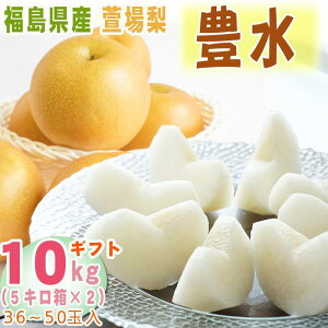 \̔  L 10kg (5kg×2) 36ʁ`50ʓ ꗜ Y 9{`10{\ [L Mtg 10L]  Mtg