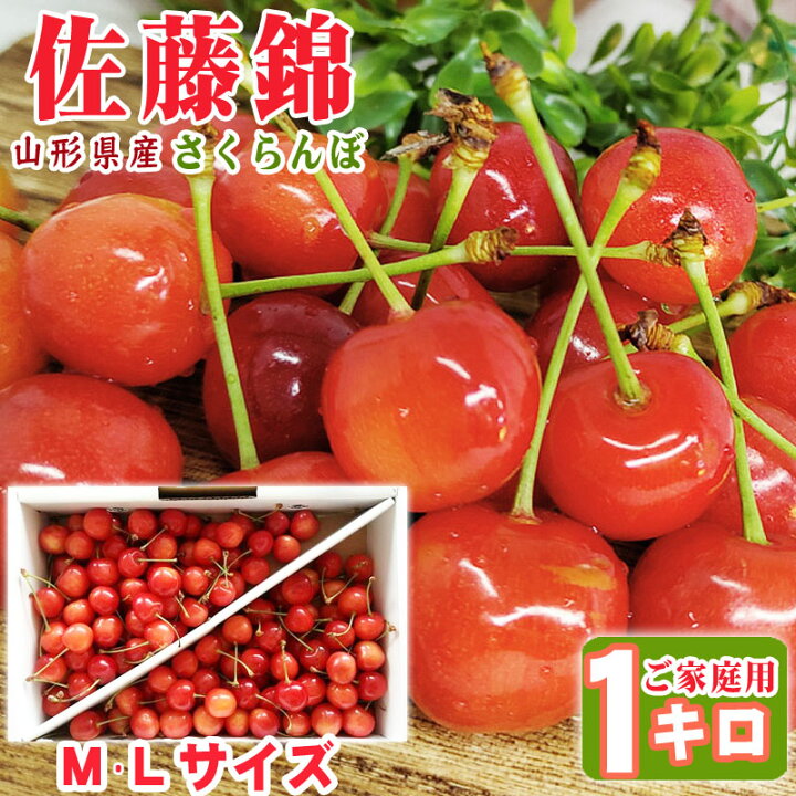 楽天市場】さくらんぼ ご家庭用 佐藤錦 M・L1kg（クール便）【送料 