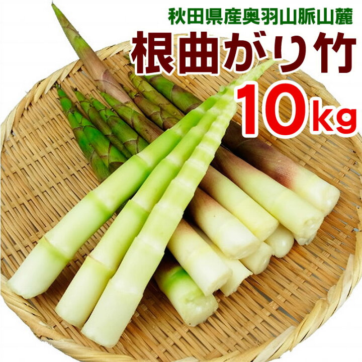 楽天市場 予約販売 山菜 根曲がり竹 10kg 青森県 白神山地山麓産 天然 冷蔵便 送料無料 産地直送 ねまがりたけ たけのこ 竹の子 東北の農産特産品アグリパートナー