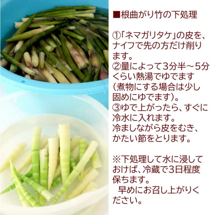 楽天市場】予約販売 山菜 根曲がり竹 10kg 青森県 白神山地山麓産 天然 