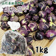 生丸茄子 生1kg 薄皮丸茄子 梵天丸茄子 山形県飯豊町産 クール便 なす