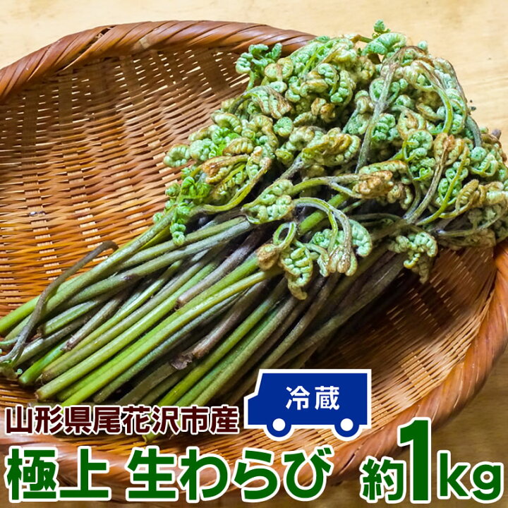 楽天市場】わらび 1kg 山形県 村山市産 極上 生 山菜 ワラビ 蕨 送料 