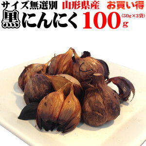 Ԍ|Cg10%UP R`Y Y n ɂɂ 100g [ɂɂ100g BS] NP   [