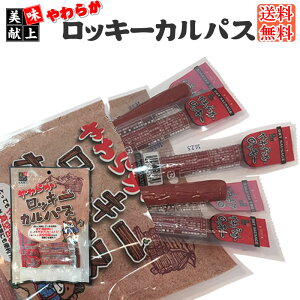 Ԍ|Cg20%UP [炩bL[JpX L2]܂ JpX T~  󂠂ł͂ȂKi   p p R` |Cg [ 1000~|bL YP 