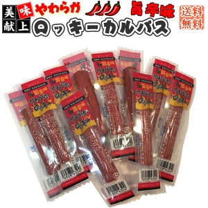 [炩bL[|h L2]܂ JpX T~  󂠂ł͂ȂKi   p p R` |Cg [ 1000~|bL YP 