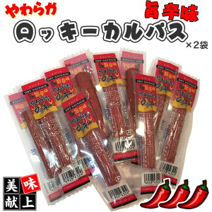 [炩bL[|h×2 L2]܂ JpX T~  󂠂ł͂ȂKi   p p R` |Cg [ YP 