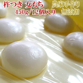 杵つき餅 切り餅 無添加 450g 12個入り お買い得 お徳用 送料無料 業務用可能 お試し お手軽 ポイント消化 山形 メール便 [女もち1袋 L3] YP