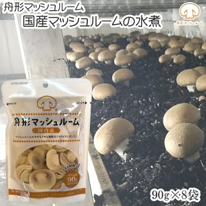 Ԍ|Cg10{ R`M`Y M`}bV[ [}bV[̐×8 BL] NP   [