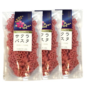  [ [TNpX^ 100g×3܃Zbg BY3] YP 