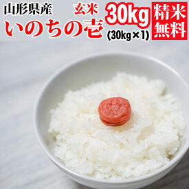 米 玄米 30kg いのちの壱 30kg×1袋 令和4年産 山形県産 精米無料 白米 無洗米 分づき 当日精米 送料無料