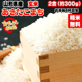 米 お米 あきたこまち 300g 2合 令和5年産 山形県産 お米 白米 無洗米 分づき 玄米 お好み精米 送料無料 当日精米 お試し ポイント消化 真空パック メール便 YP