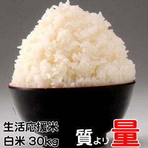 令和7年度 国産米 30kg 生活応援米 白米30kg ×1袋 送料無料 徳用 お試し 業務用 訳あり ご家庭用 (当店ブレンド米より下ランク)