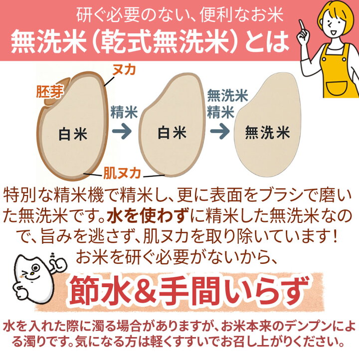 楽天市場】新米 米 玄米 5kg ひとめぼれ 令和6年産 山形県産 精米無料  