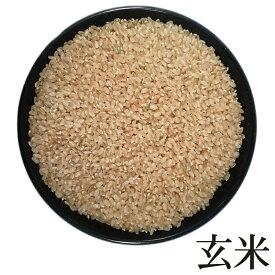 米 玄米 10kg つや姫 5kg×2袋 令和5年産 山形県産 精米無料 白米 無洗米 分づき 当日精米 送料無料