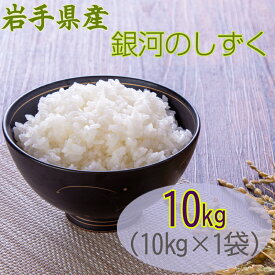 米 玄米 10kg 銀河のしずく 10kg×1袋 令和5年産 岩手県産 精米無料 白米 無洗米 当日精米 送料無料 業務用 お徳用 国産