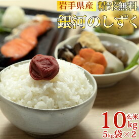 期間限定P10倍 米 玄米 10kg 銀河のしずく 5kg×2袋 令和7年産 岩手県産 精米無料 白米 無洗米 当日精米 送料無料 業務用 お徳用 国産