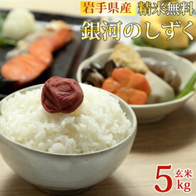 期間限定10%off 米 玄米 5kg 銀河のしずく 令和7年産 岩手県産 精米無料 白米 無洗米 当日精米 送料無料 業務用 お徳用 国産